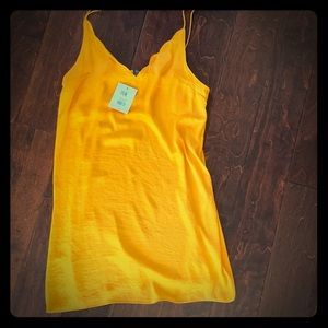 TopShop slip dress! Never worn, tags attached!